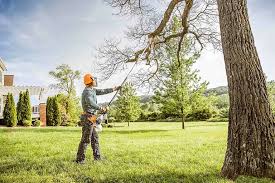 Mulching Services in Henrietta, TX