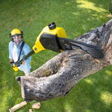 Best Soil Testing and Treatment  in Henrietta, TX