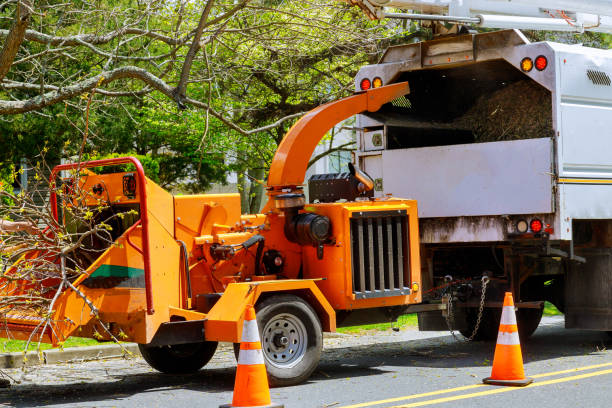 Henrietta, TX Tree Services Company